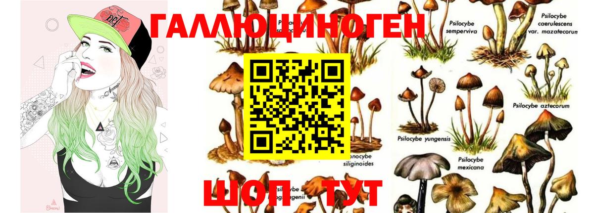 Кировск  Галлюциногенные грибы MAGIC MUSHROOMS  Вход с VPN  Псилоцибиновые грибы Magic Shrooms 